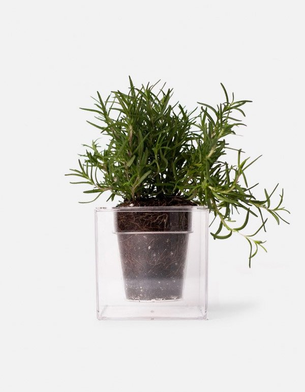 Boskke Cube